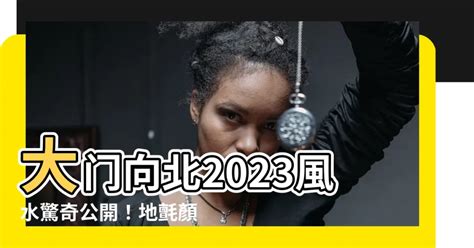 大門地氈顏色2023